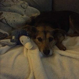 Meet your Posher, Grace